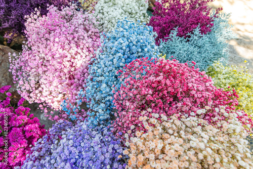 Bouquets de gypsophile de différentes couleurs. photo