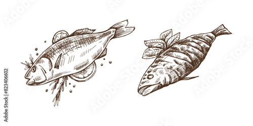 Hand-drawn monochrome vector sketch of barbecue fish. Doodle vintage illustration. Decorations for the menu of cafes and labels. Engraved image.