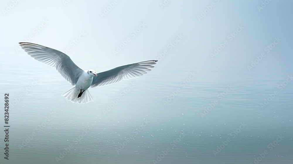 sky grey blue background