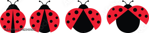 ladybug set. Vector dotted or polka dot pattern. Let spring begin. ladybug sign represents protection, resistance, luck and prosperity, but also symbol of senseless violence. on transparent background