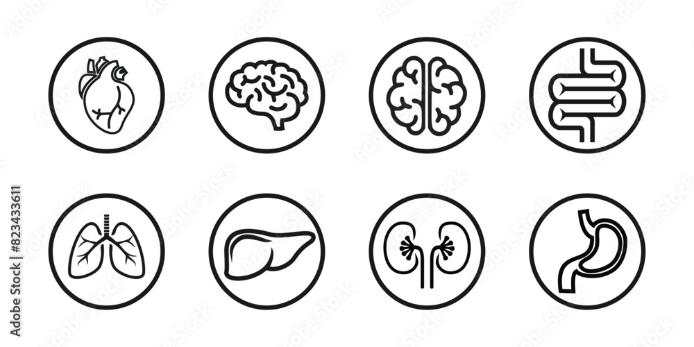 set design of human organs, heart, liver, stomach, intestines, kidneys, lungs, brain, outline style, solid and colored, editable vector eps 10. set design of human organs, heart, liver, stomach, intestines, kidneys, lungs, brain, outline style, solid and colored, editable vector eps 10.