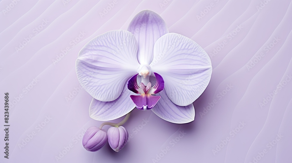 Fototapeta premium minimalist purple floral background