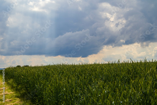 Landscape with sunrays from cloudy sky over green meadow
