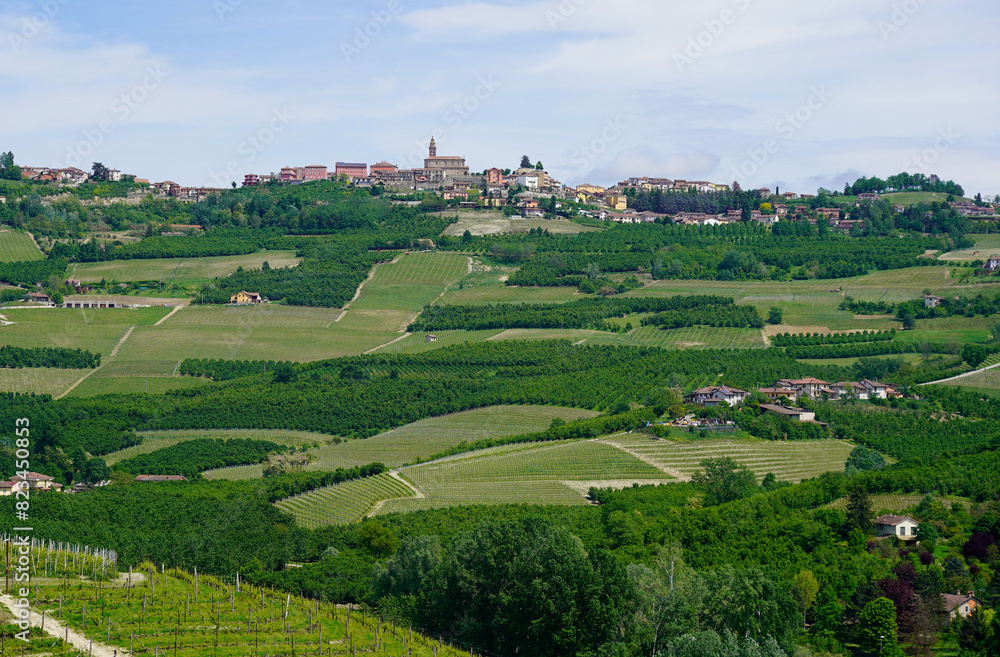 Landscape in Piedmont, Italy, mountain top village in the distance 