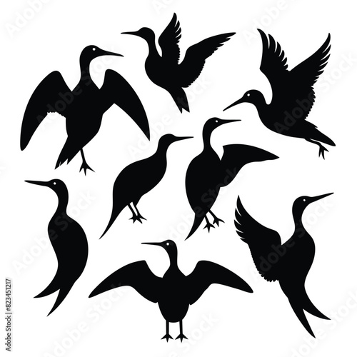 Set of gannet bird animal Silhouette Vector on a white background photo