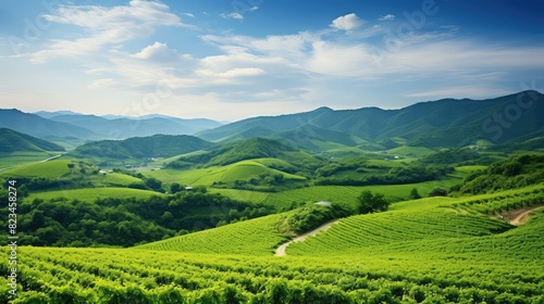 hills japan grape background © vectorwin