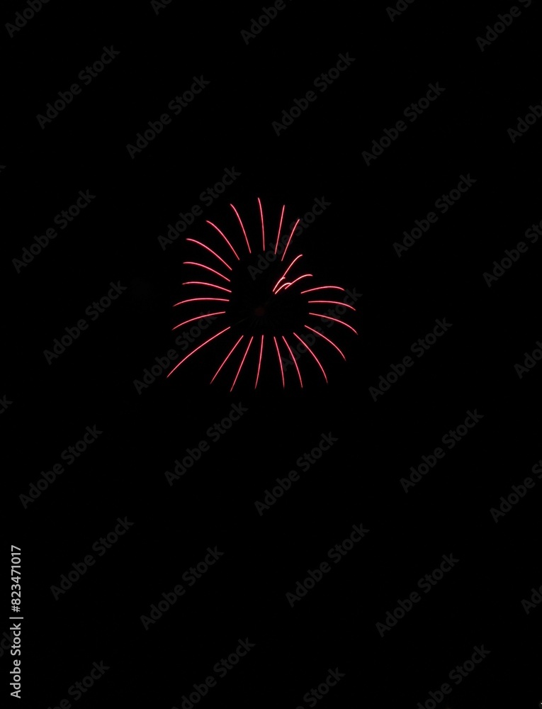 Fototapeta premium 打上げ花火