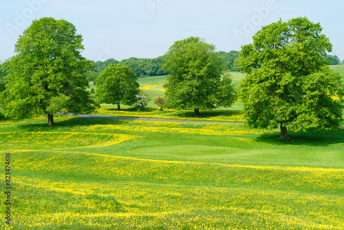 View across the Westwood public parkland with wild flowers in spring in Beverley, Yorkshire, UK. photo