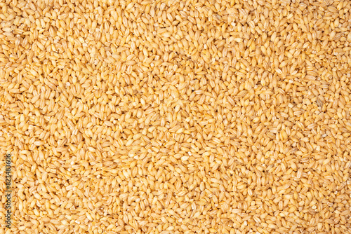 Wheat grain as a background. Top view. © Nikolay