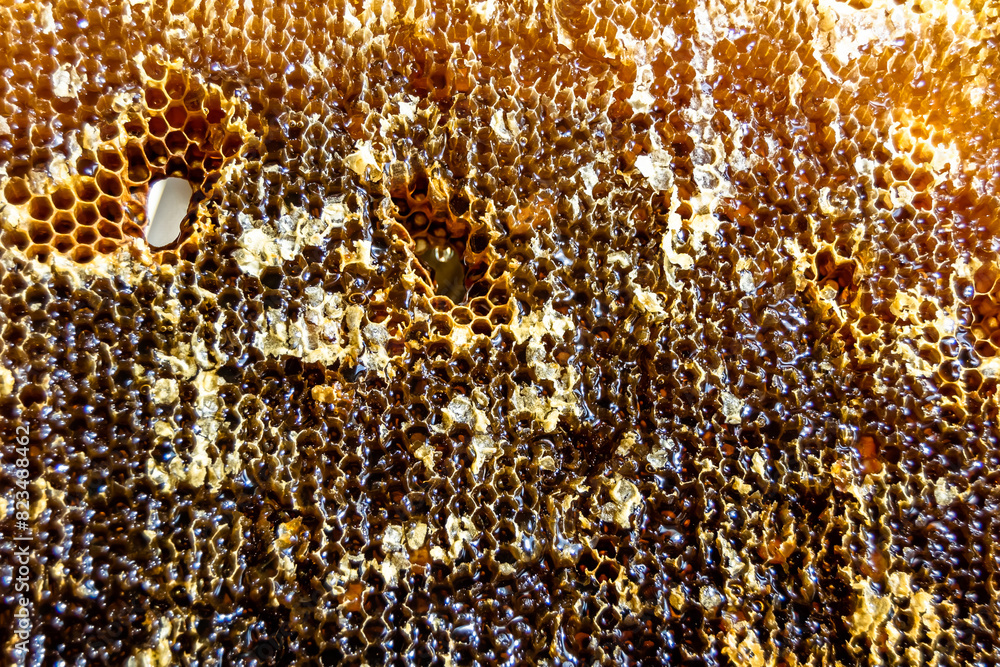 Drop of bee honey drip from hexagonal honeycombs filled with golden nectar Drop of bee honey drip from hexagonal honeycombs filled with golden nectar