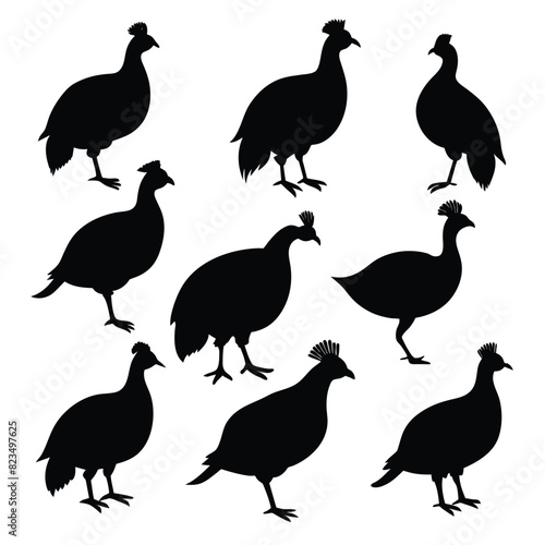 Set of guinea fowl birds animal Silhouette Vector on a white background