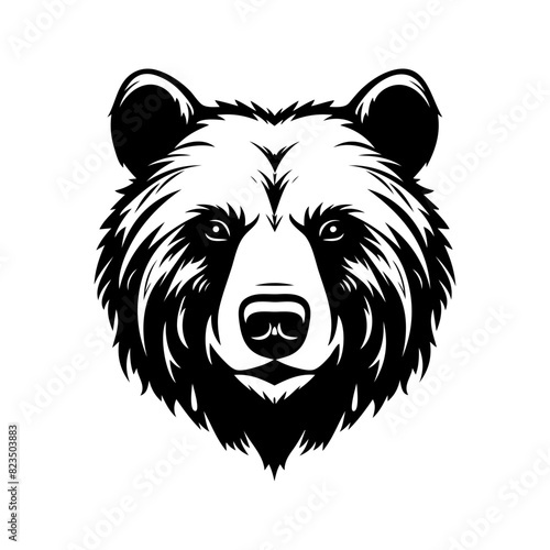 illustration of a bear
