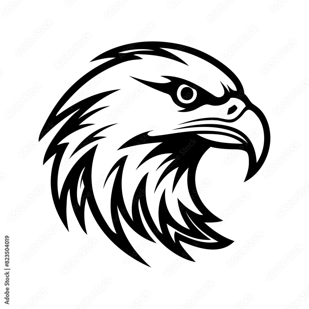 eagle head illustration eagle head illustration
