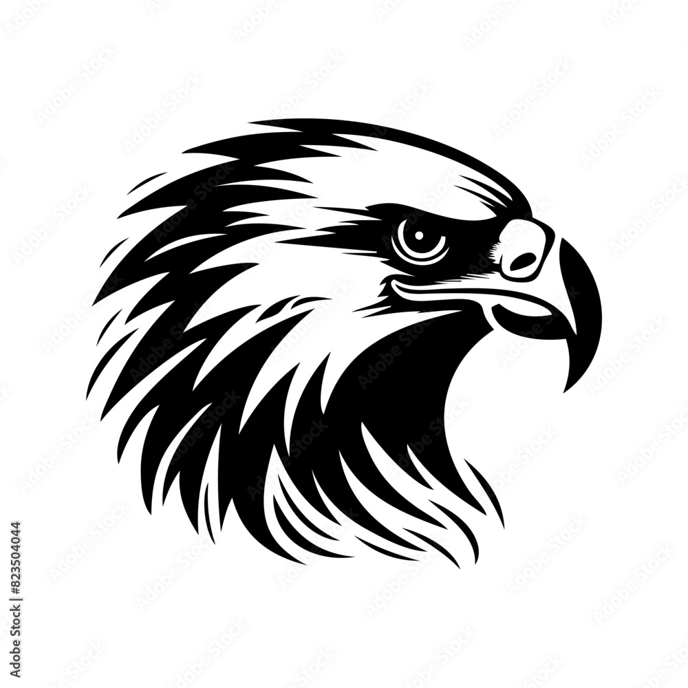 eagle head isolated on white eagle head isolated on white