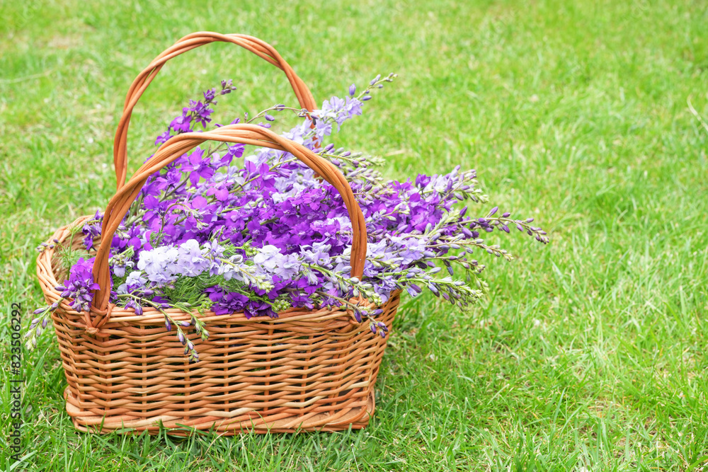 Flowers bouquet in wicker basket in garden. Abstract natural green background. Spring, summer season. Rustic still life with meadow flowers. template. Flowers bouquet in wicker basket in garden. Abstract natural green background. Spring, summer season. Rustic still life with meadow flowers. template.