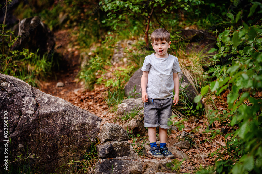 Young boy in a gray t-shirt and denim shorts standing on a forest path surrounded by greenery and rocks. Capturing a moment of quiet exploration and natural beauty. Young boy in a gray t-shirt and denim shorts standing on a forest path surrounded by greenery and rocks. Capturing a moment of quiet exploration and natural beauty.