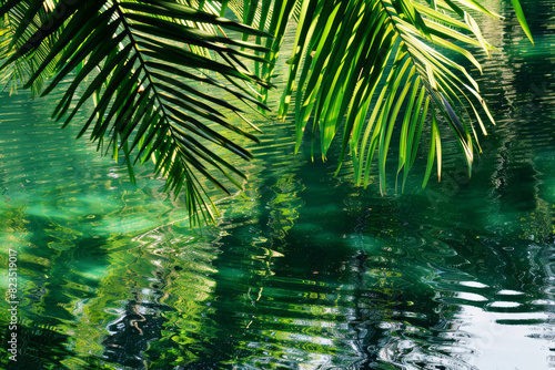 Tropical Palm Leaves Over Clear Aqua Water with Sunlight Reflections