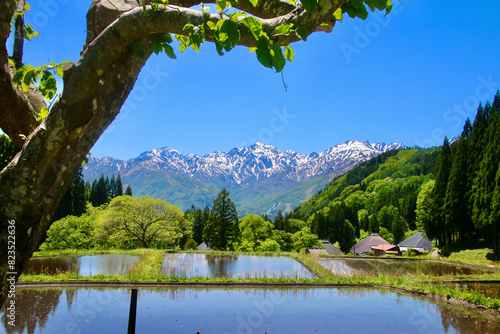 青鬼集落・棚田・北アルプス（長野県・白馬村）