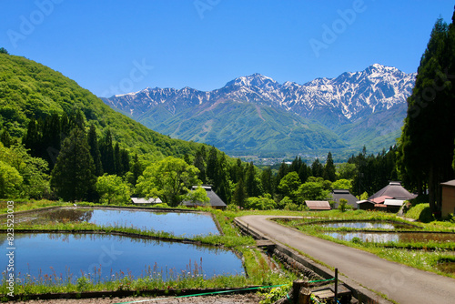 青鬼集落・棚田・北アルプス（長野県・白馬村）