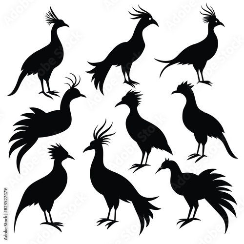 Set of hoatzin birds animal Silhouette Vector on a white background