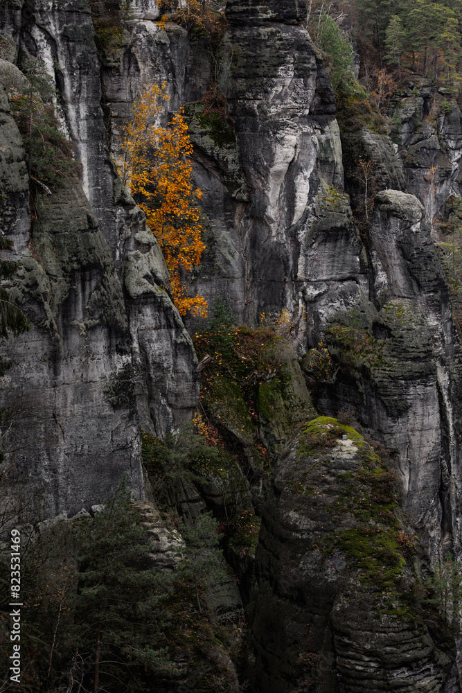 Autumn in The Saxon Switzerland National Park, or Nationalpark Sächsische Schweiz in Germany. Fall colors. 