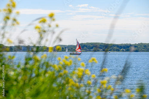 Segelboot auf Flensburger Förde im Frühling