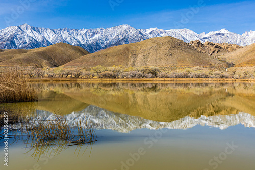 Reflections of The Foothills and Pier With The Sierra Nevada Mountain Range on Diaz Lake, Lone Pine, California, USA