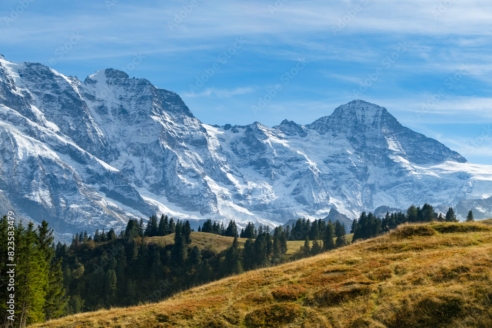 Obraz premium Idyllic summer panorama landscape in the Alps with fresh green meadows and snowcapped mountain tops in the background. Switzerland