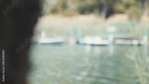 Close up of a tree trunk reveals a small port on the lake photo