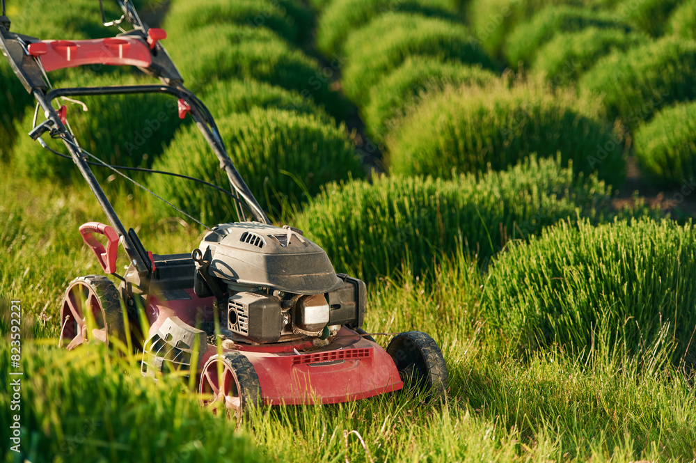 Lawn mower on the green field Lawn mower on the green field