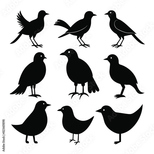 Set of rail birds animal Silhouette Vector on a white background