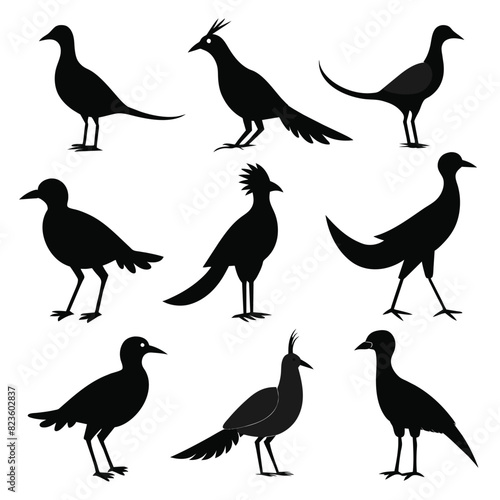 Set of rail birds animal Silhouette Vector on a white background