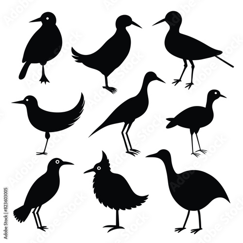 Set of rail birds animal Silhouette Vector on a white background