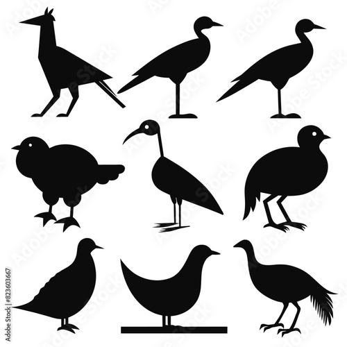 Set of rail birds animal Silhouette Vector on a white background