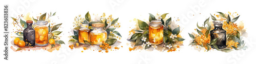 Watercolor set glass jar with honey. Vector illustration. Hand drawn.