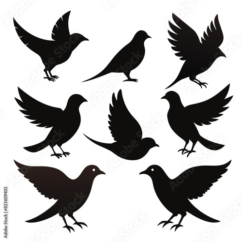 Set of rallidae birds animal Silhouette Vector on a white background