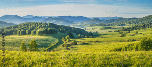 Fototapeta Naklejka Na Ścianę i Meble -  Panoramic view of a picturesque valley in the morning light, fog, meadows and morning light, spring rural landscape	