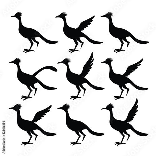 Set of roadrunner animal Silhouette Vector on a white background