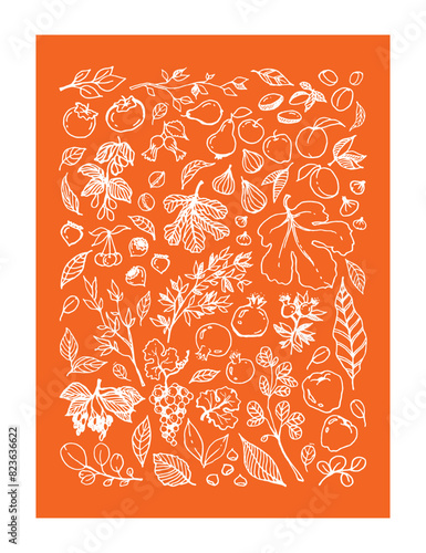 Vector set illustration of various Garden Fruits, leaves, tree branches on orange