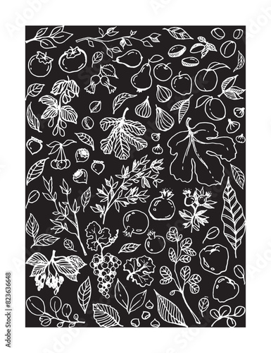 illustration of various Garden Fruits, leaves, tree branches on black