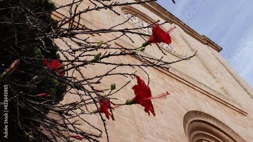 old church in Italiaold church in Italian style with red flowersn style with red flowers photo