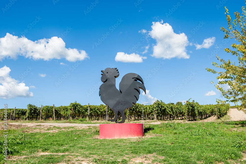 Obraz premium Gallo nero, Chianti Classico