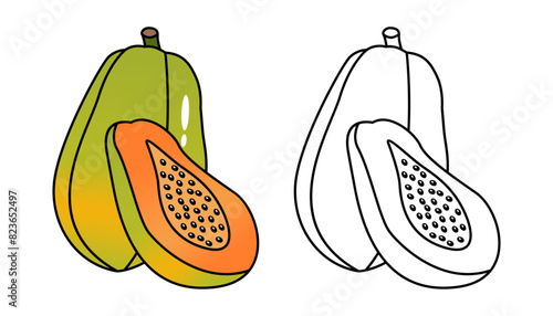 Vector illustration of papaya fruit with lines and colors, for children's coloring books