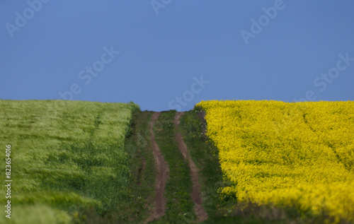A dirt road separates green and yellow fields against a bright blue sky. Ukrainian symbols