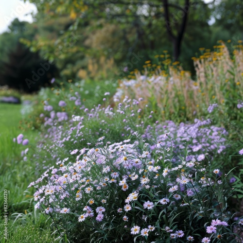 A garden with a variety of flowers  including purple daisies