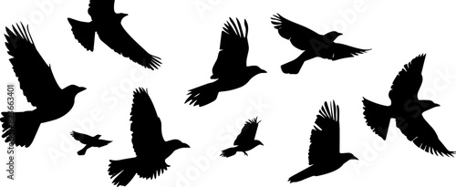 Flying Birds Silhouettes On White Background Vector Design. AI generated illustration.