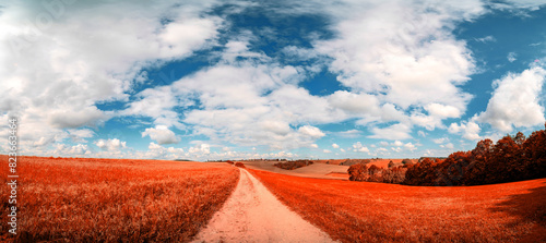 infrared photography of a summer landscape with a field and a country road