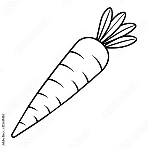 feather, carrot