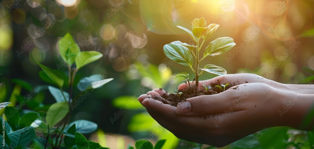 Hands nurturing a green plant, symbolizing ecofriendly actions close up, nature growth, vibrant, overlay, garden backdrop Hands nurturing a green plant, symbolizing ecofriendly actions close up, nature growth, vibrant, overlay, garden backdrop