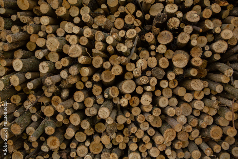 Dark wooden texture. Wood brown texture. Background old panels. Retro wooden table. Rustic background. Vintage colored surface. Dark wooden texture. Wood brown texture. Background old panels. Retro wooden table. Rustic background. Vintage colored surface.
